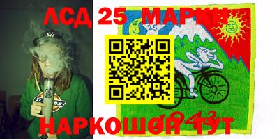 кокс Гудермес