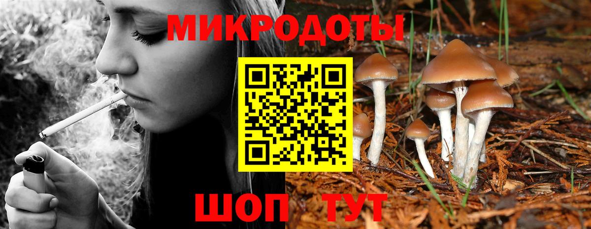 Галлюциногенные грибы Cubensis  Вход с VPN  Сибай  Галлюциногенные грибы GOLDEN TEACHER 